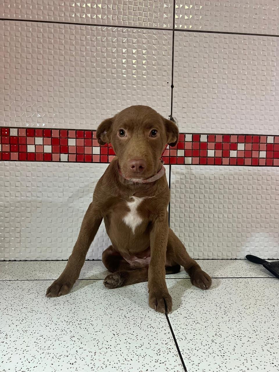Foto de Marcos